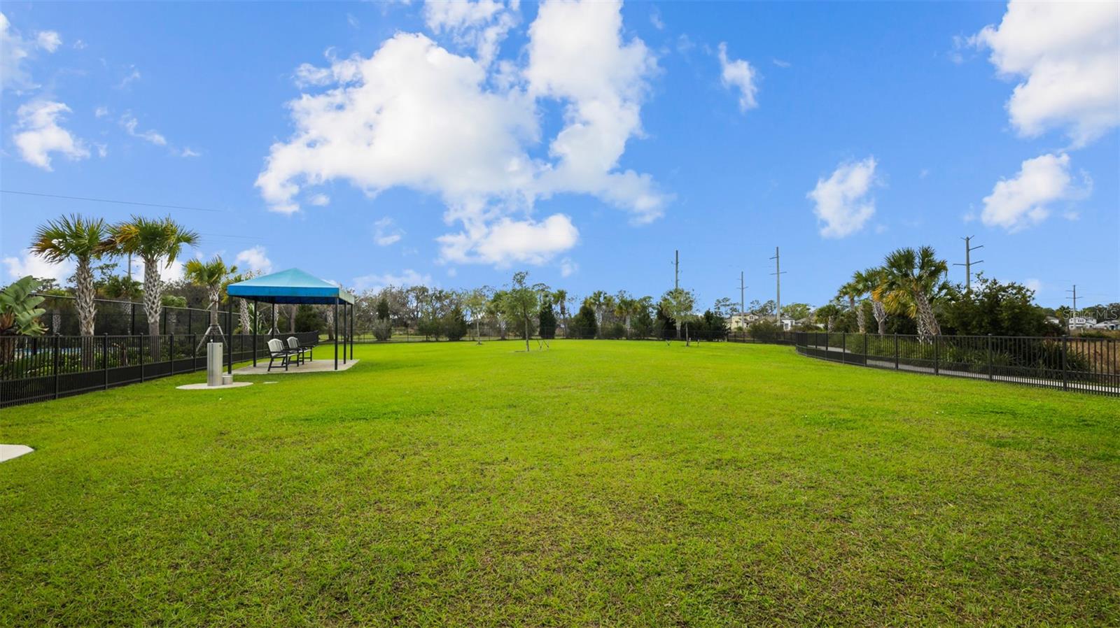 Image 76 of 89 For 2578 Wild Cherry Path