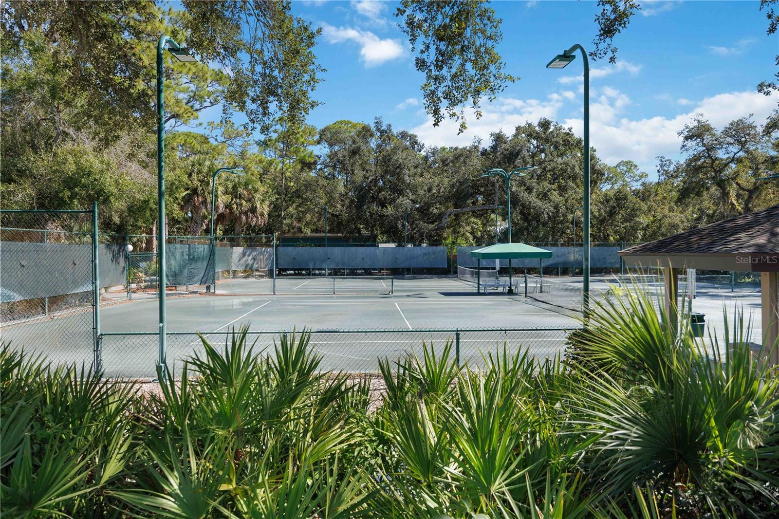 Image 42 of 49 For 2767 Horseshoe Court Q-3