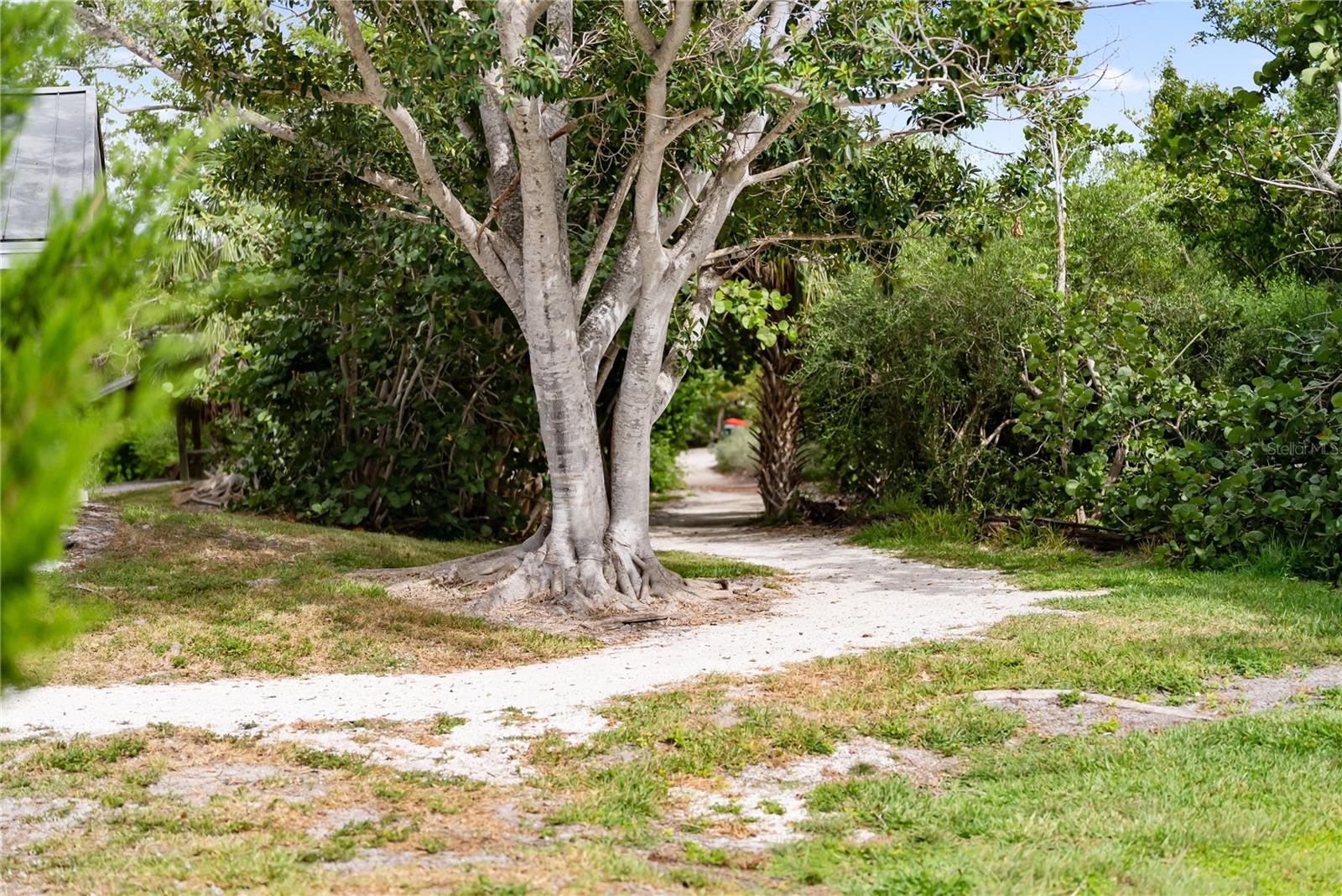 Image 81 of 89 For 1750 Benjamin Franklin Drive 6g