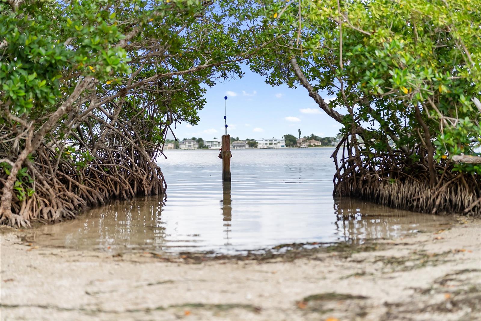 Image 87 of 89 For 1750 Benjamin Franklin Drive 6g