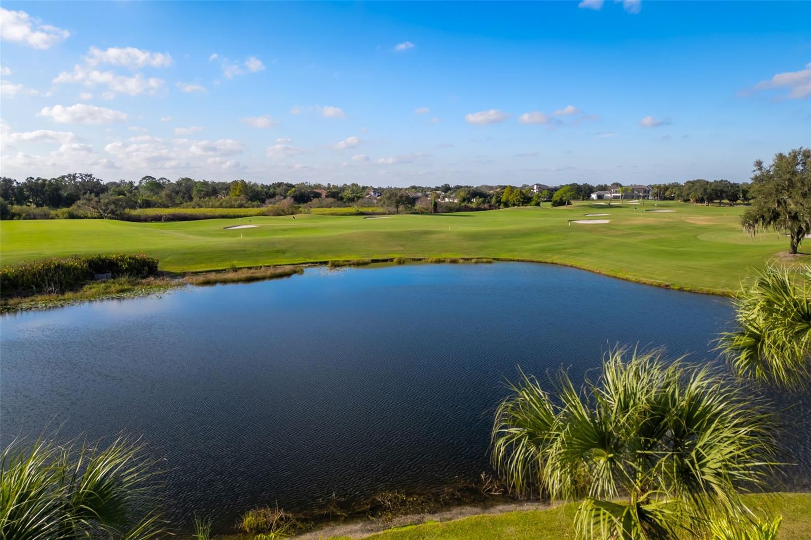 Image 90 of 100 For 3236 Founders Club Drive