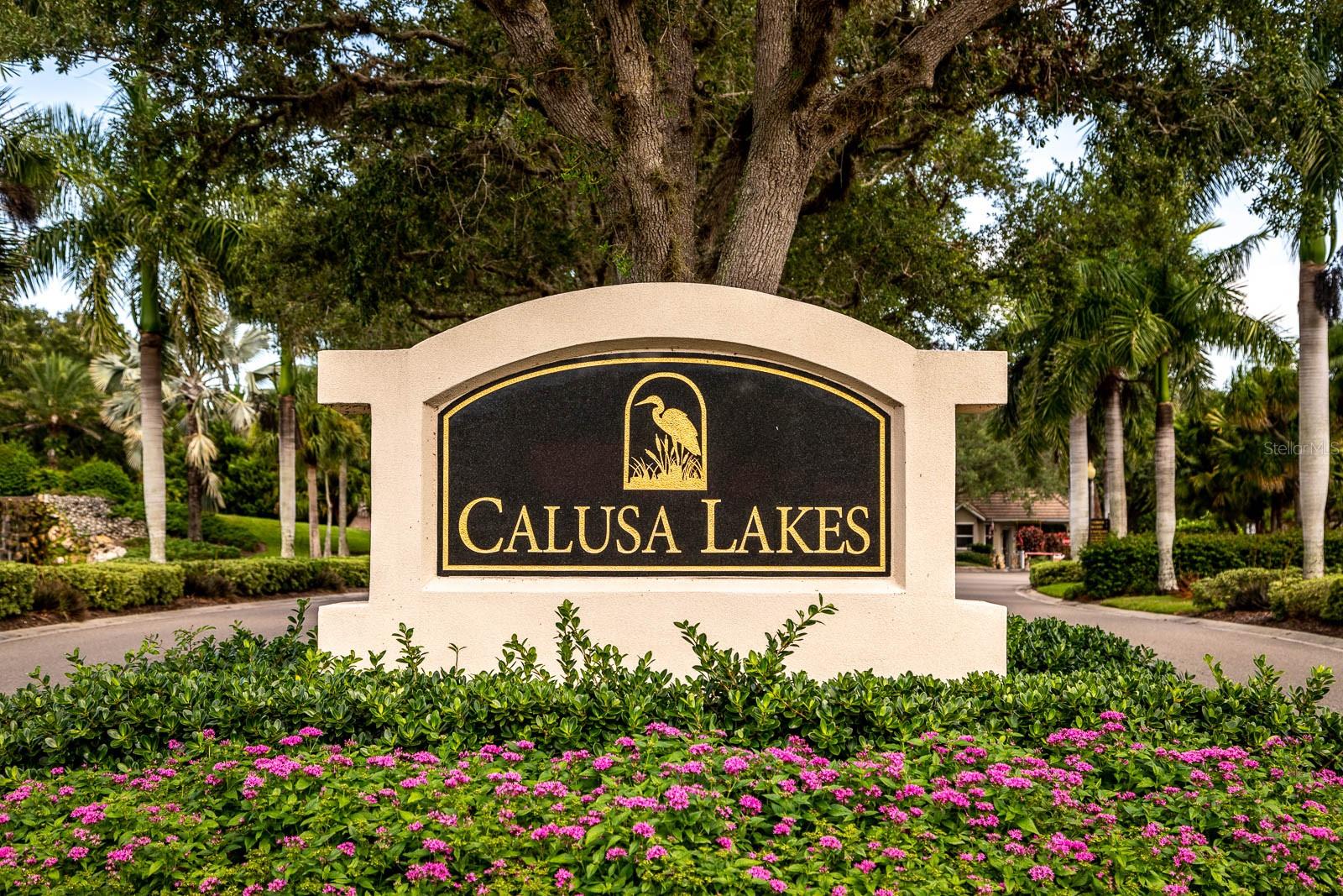 Image 40 of 43 For 2208 Calusa Lakes Boulevard