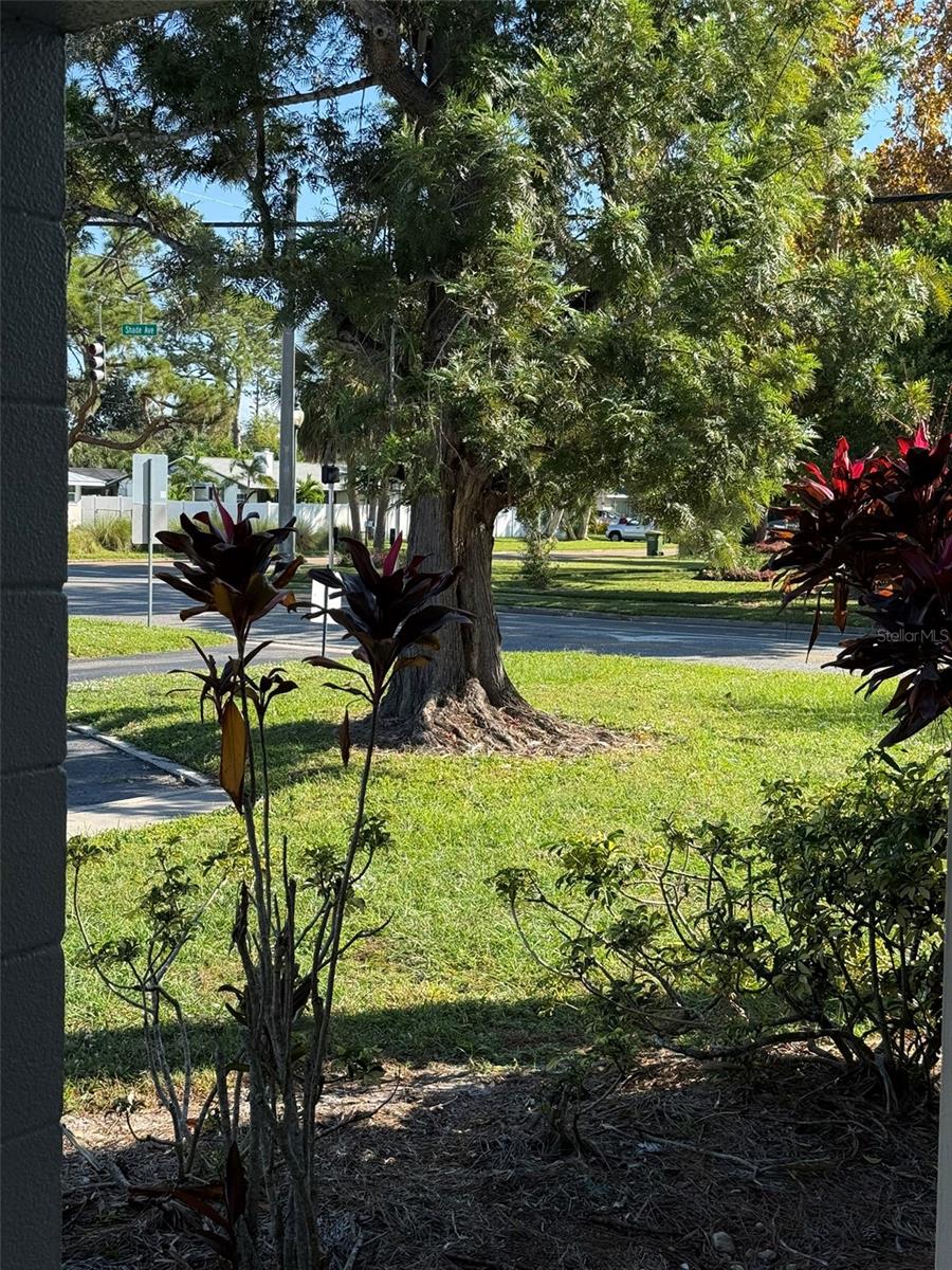 Image 20 of 27 For 2304 Ringling Boulevard 101