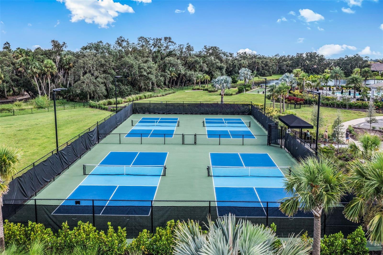 Image 48 of 48 For 9236 Torrent Trail