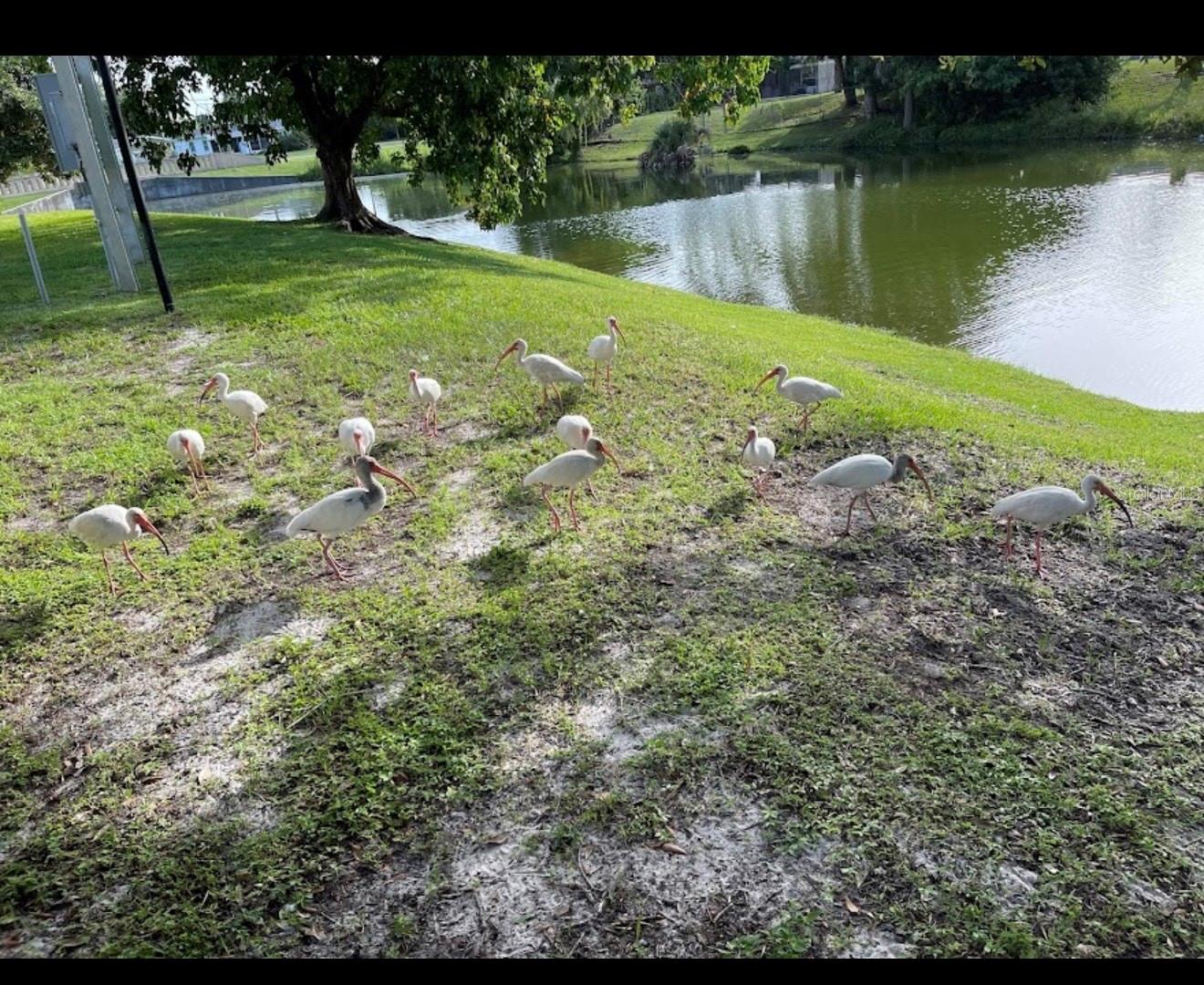 Image 17 of 17 For 21150 Gertrude Avenue 1