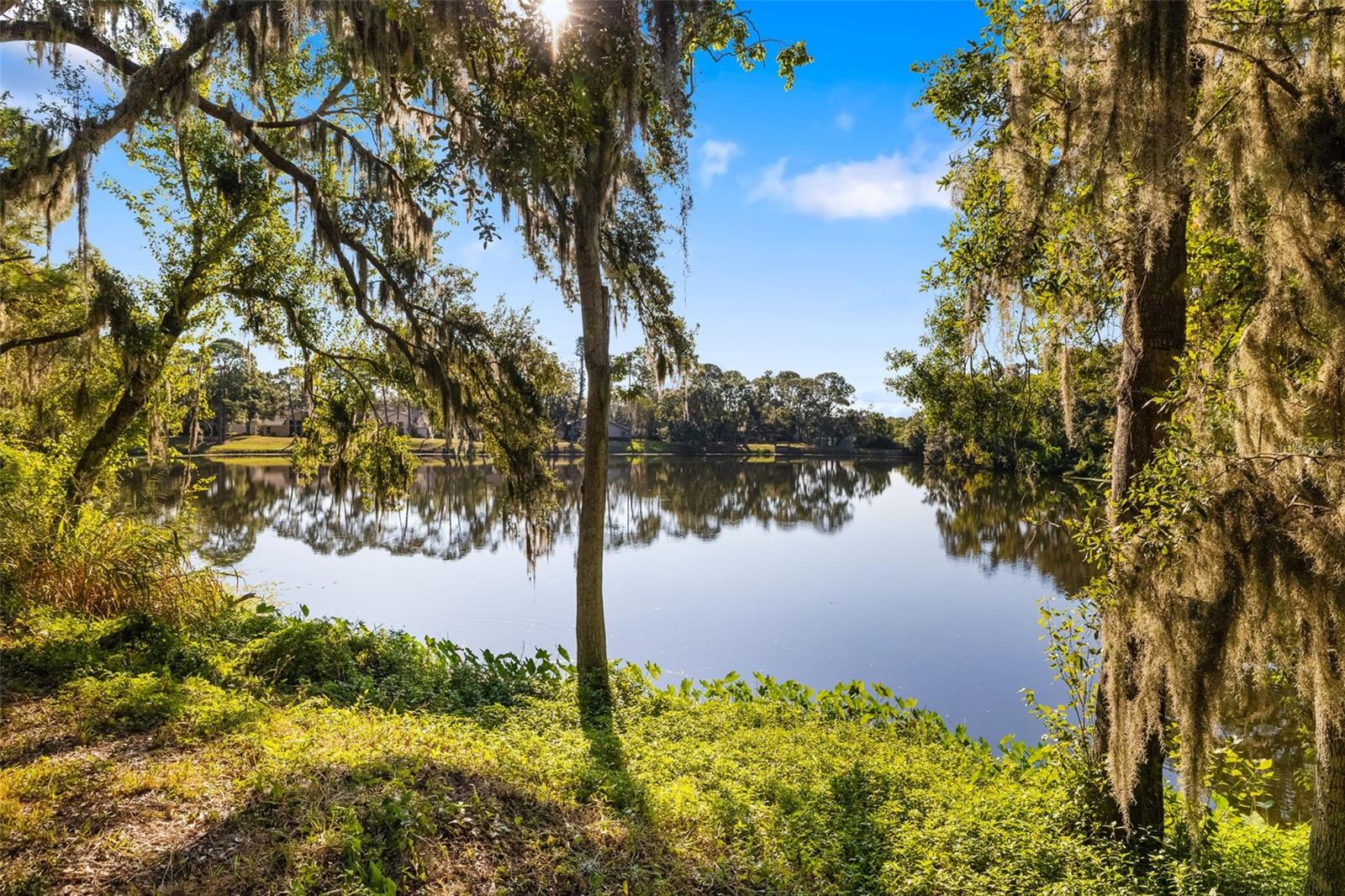 Image 50 of 76 For 4480 Ascot Circle