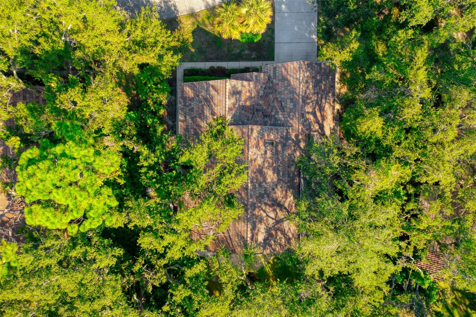 Image 55 of 76 For 4480 Ascot Circle