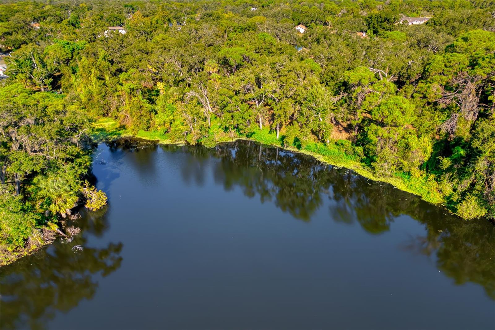 Image 59 of 76 For 4480 Ascot Circle