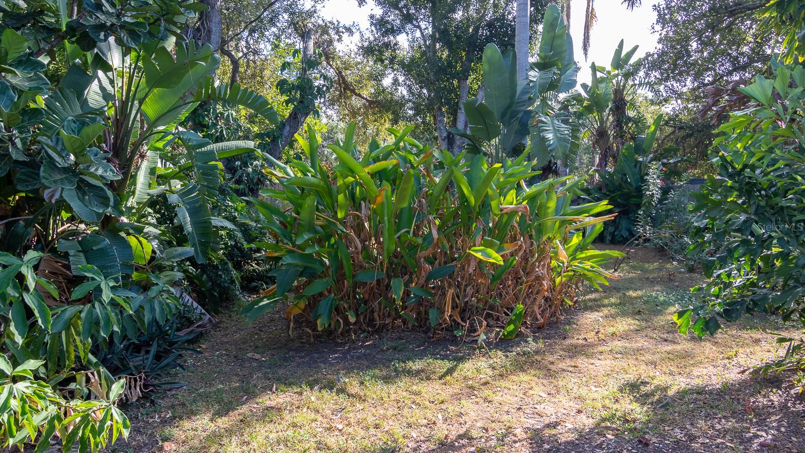 Image 26 of 27 For 3226 Patton Street