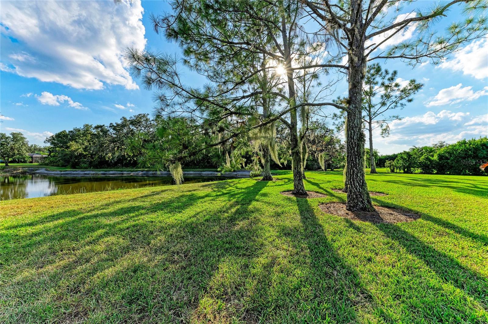 Image 59 of 74 For 3818 155th Ave E