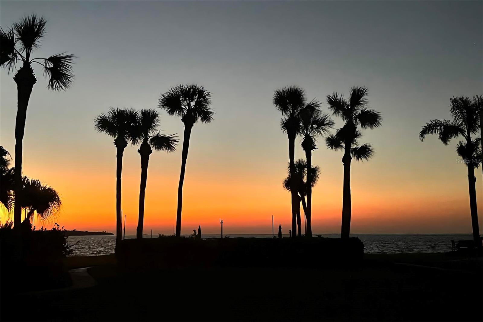 Image 7 of 13 For 7510 Sunshine Skyway Lane S T13