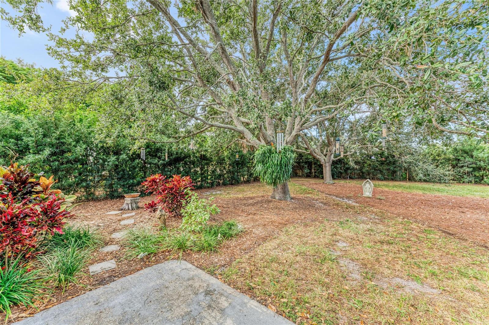 Image 30 of 44 For 204 59th Street Nw