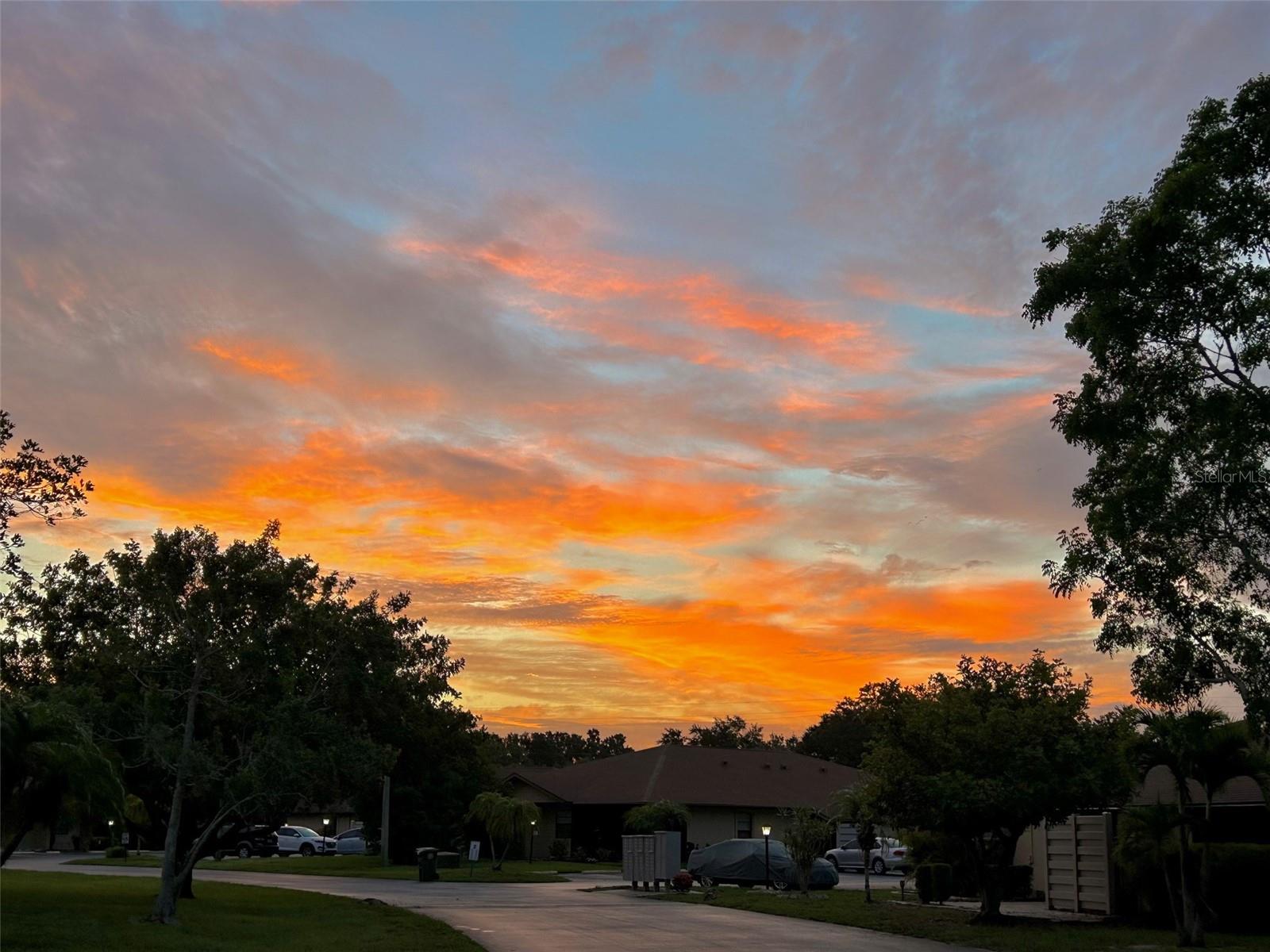 Image 41 of 54 For 4183 66th Street Circle W 4183