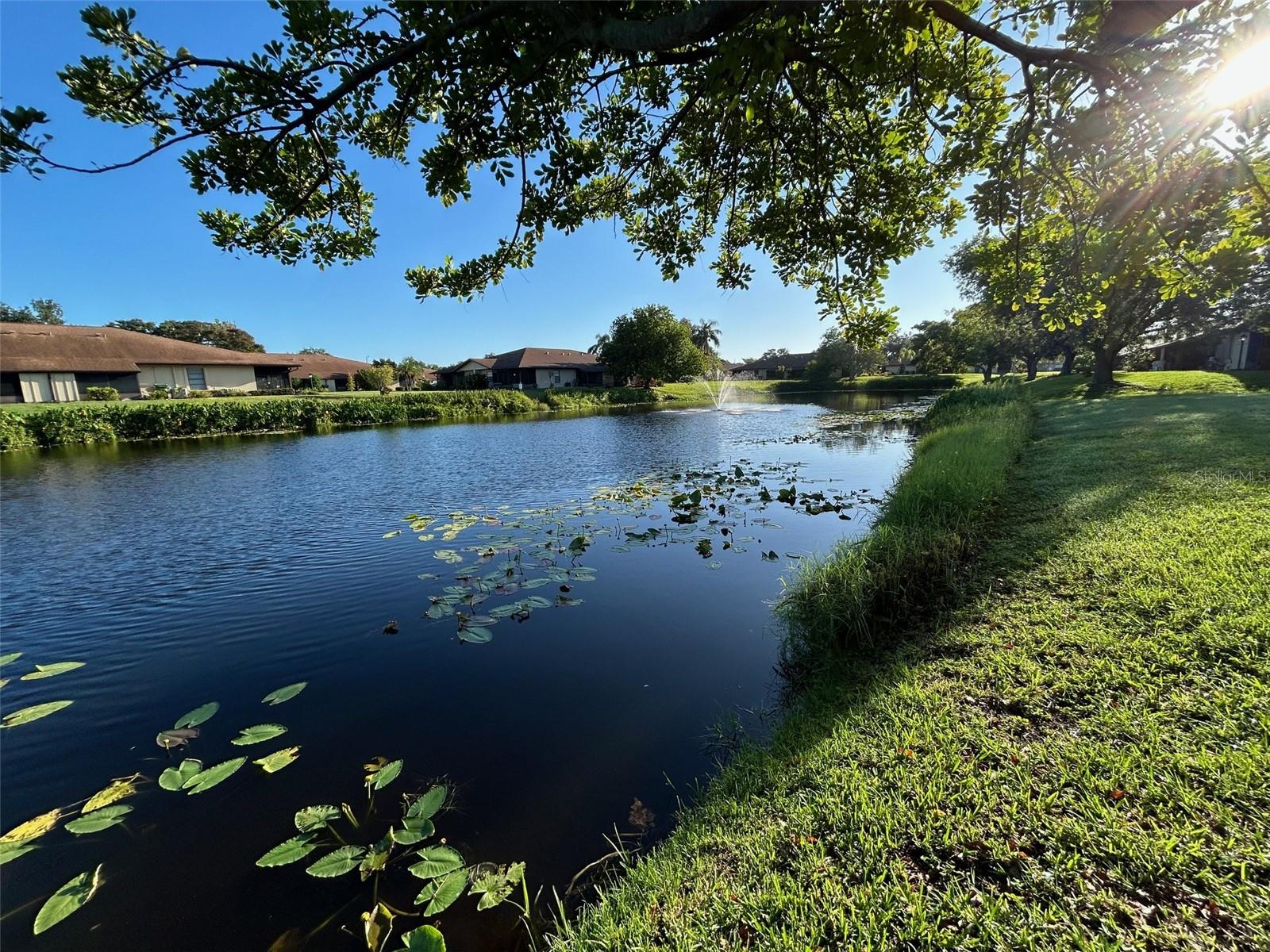 Image 49 of 54 For 4183 66th Street Circle W 4183