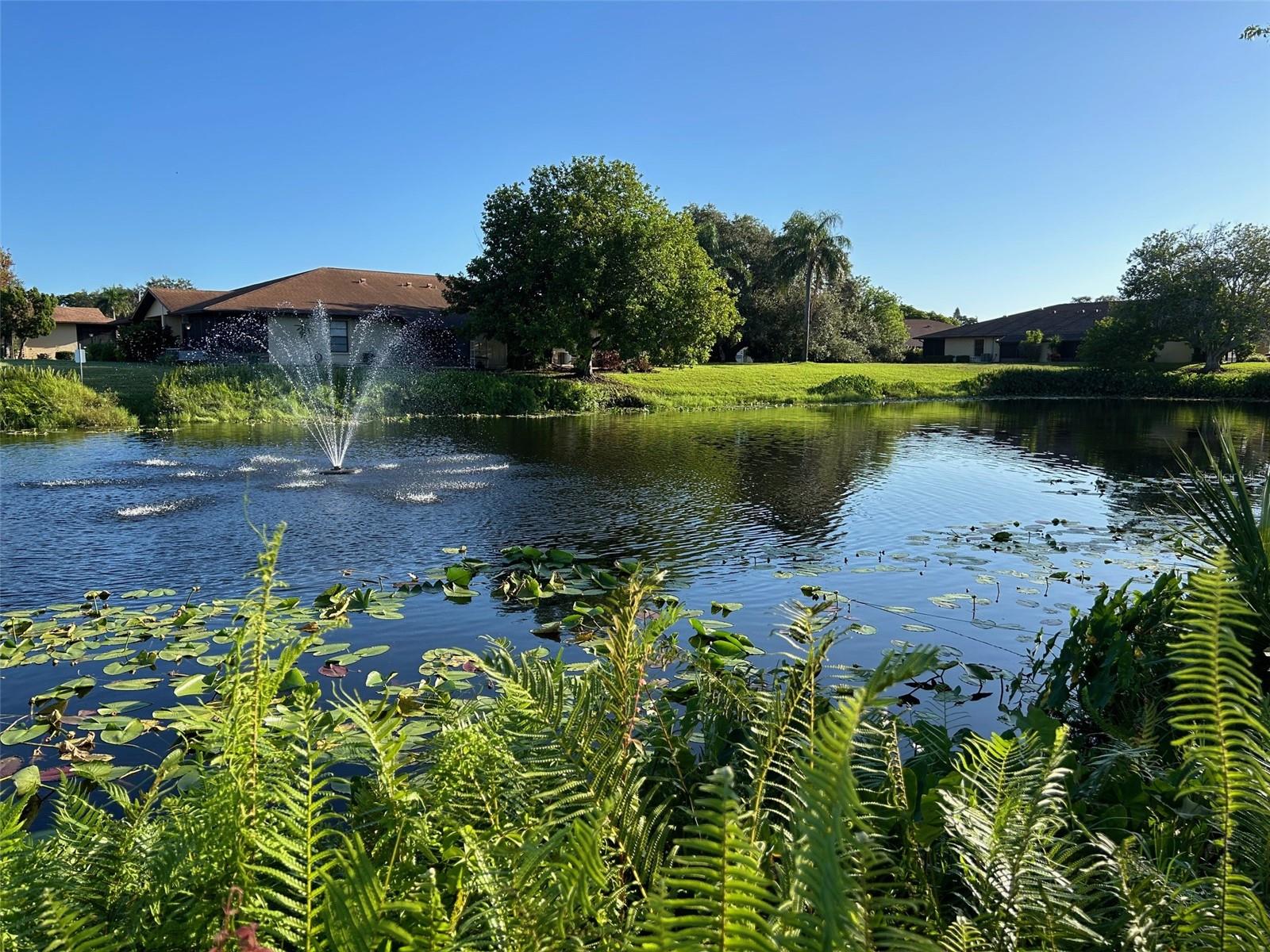 Image 52 of 54 For 4183 66th Street Circle W 4183