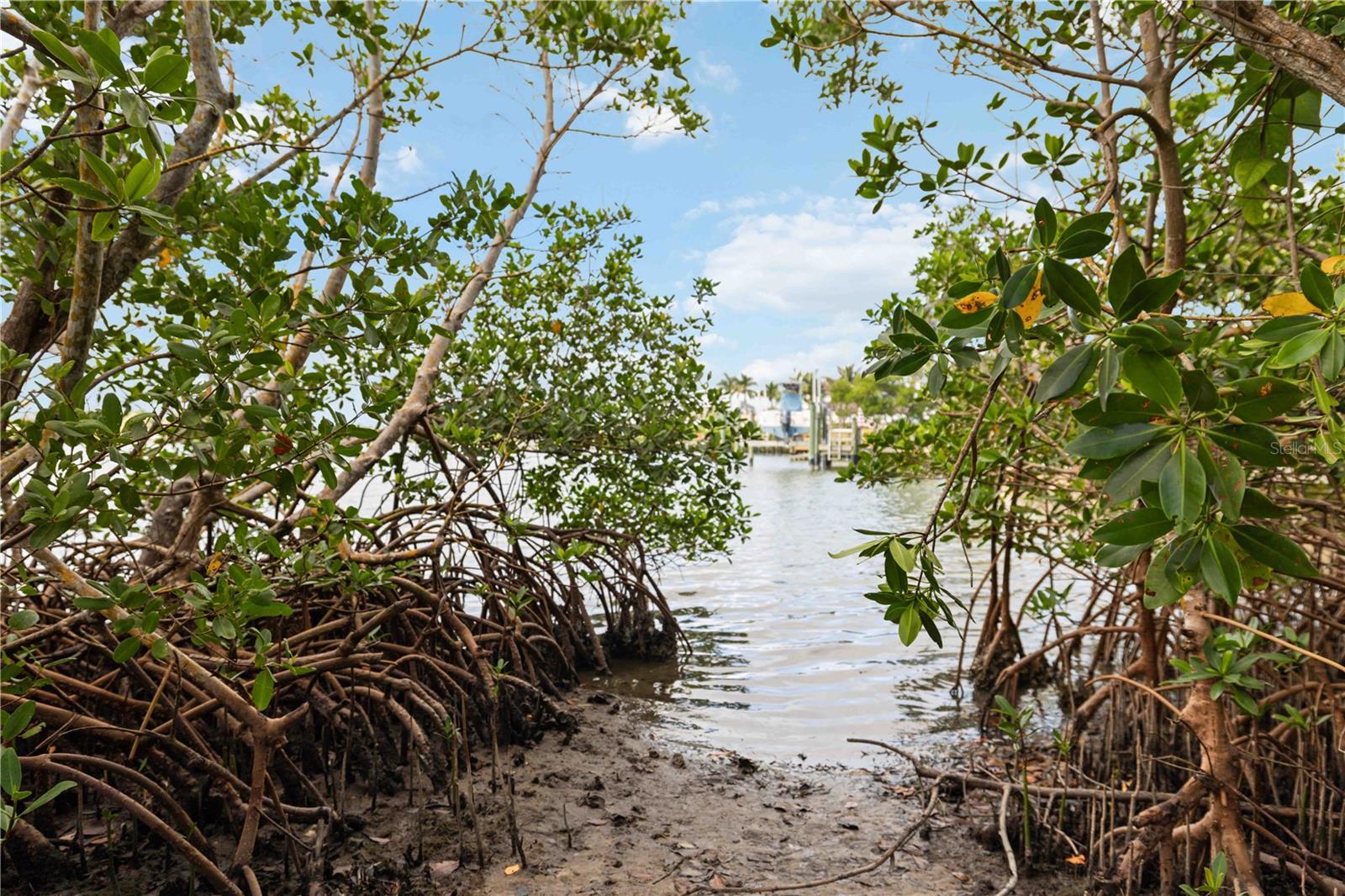 Image 43 of 57 For 505 Lyons Bay Road