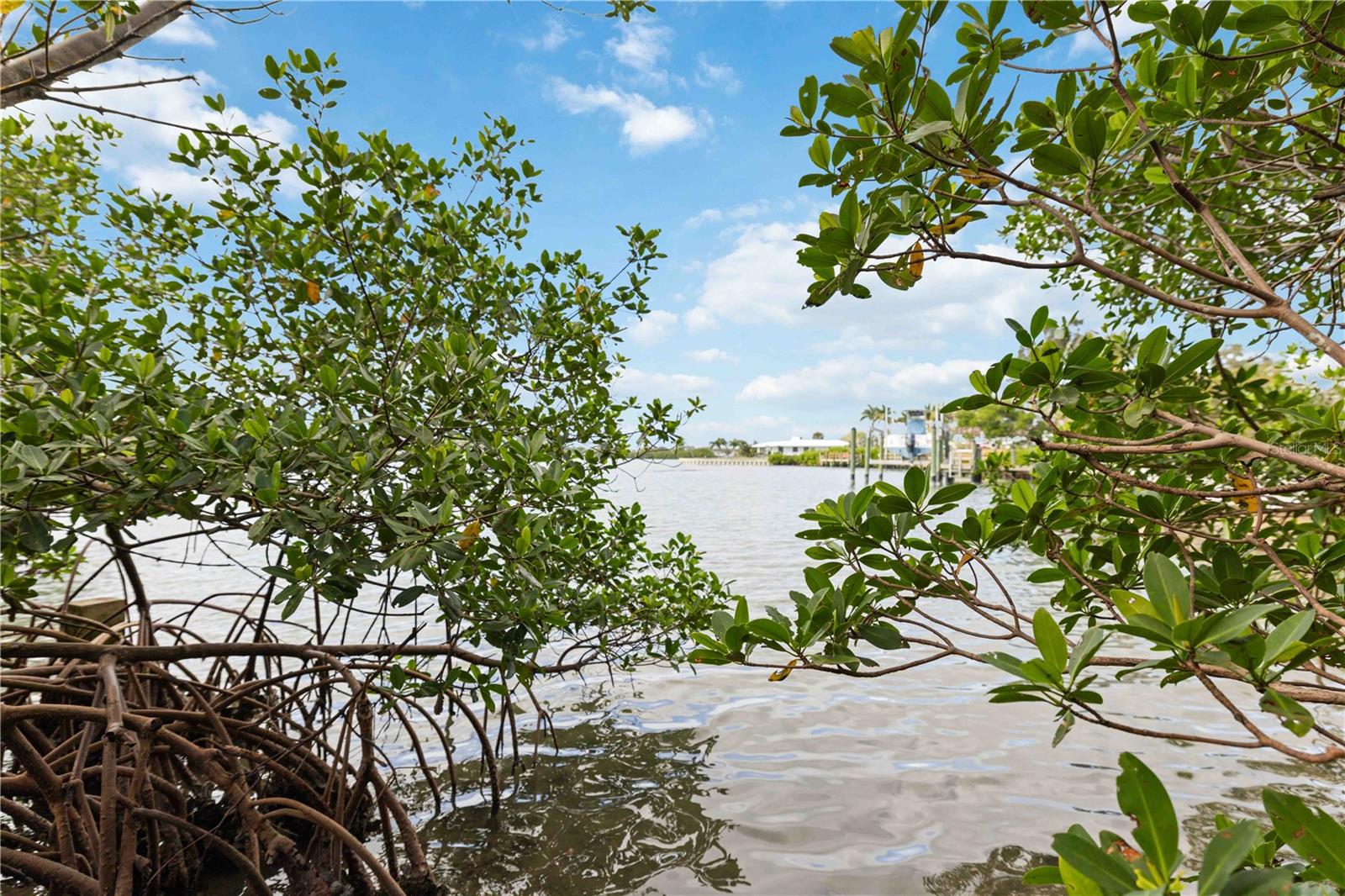 Image 44 of 57 For 505 Lyons Bay Road