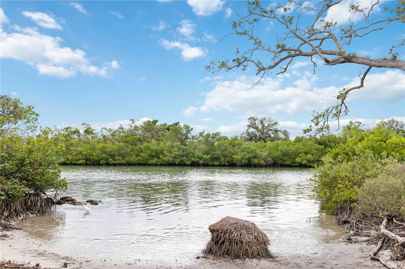 Image 45 of 57 For 505 Lyons Bay Road