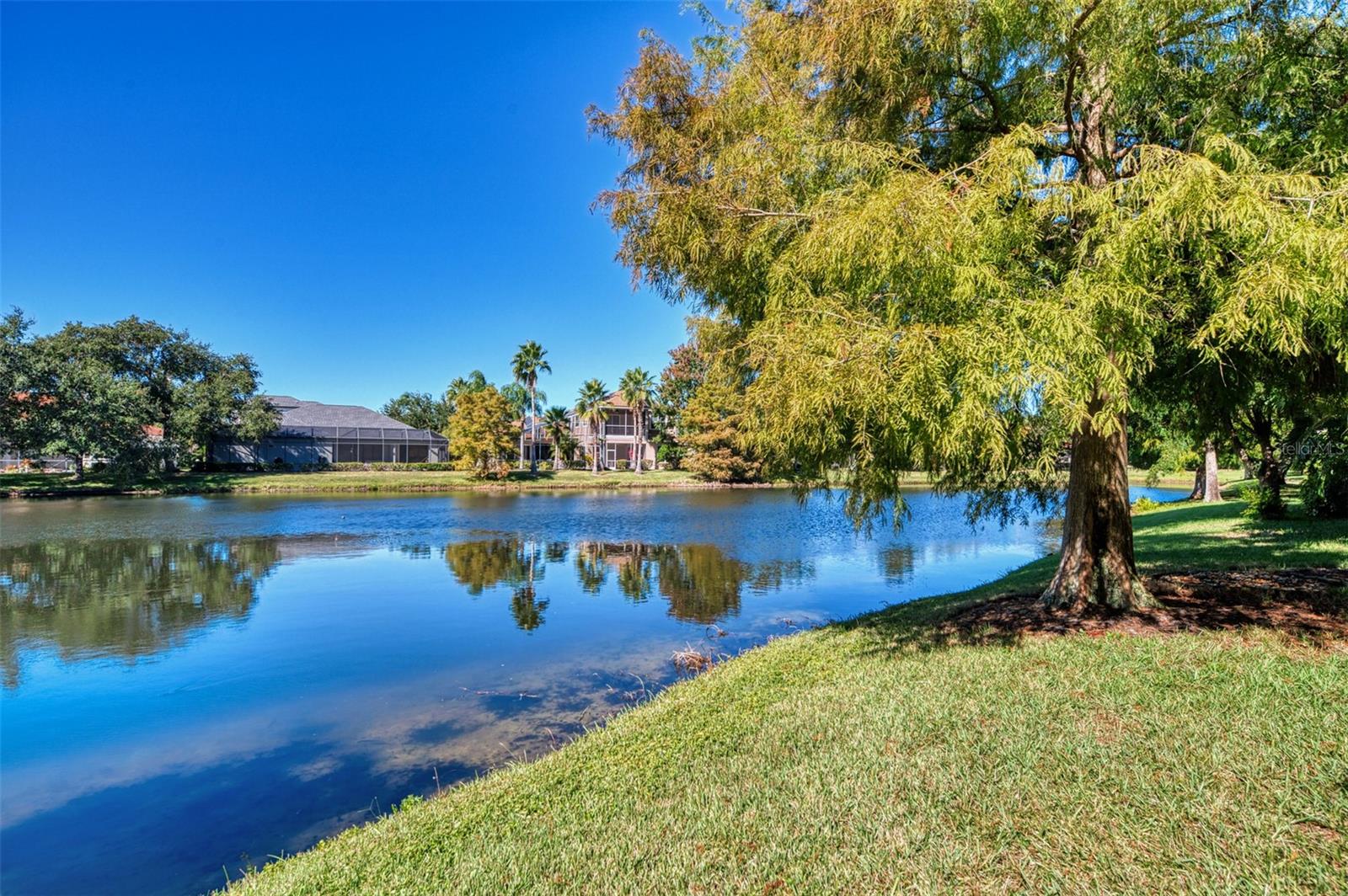 Image 85 of 97 For 6610 Coopers Hawk Court