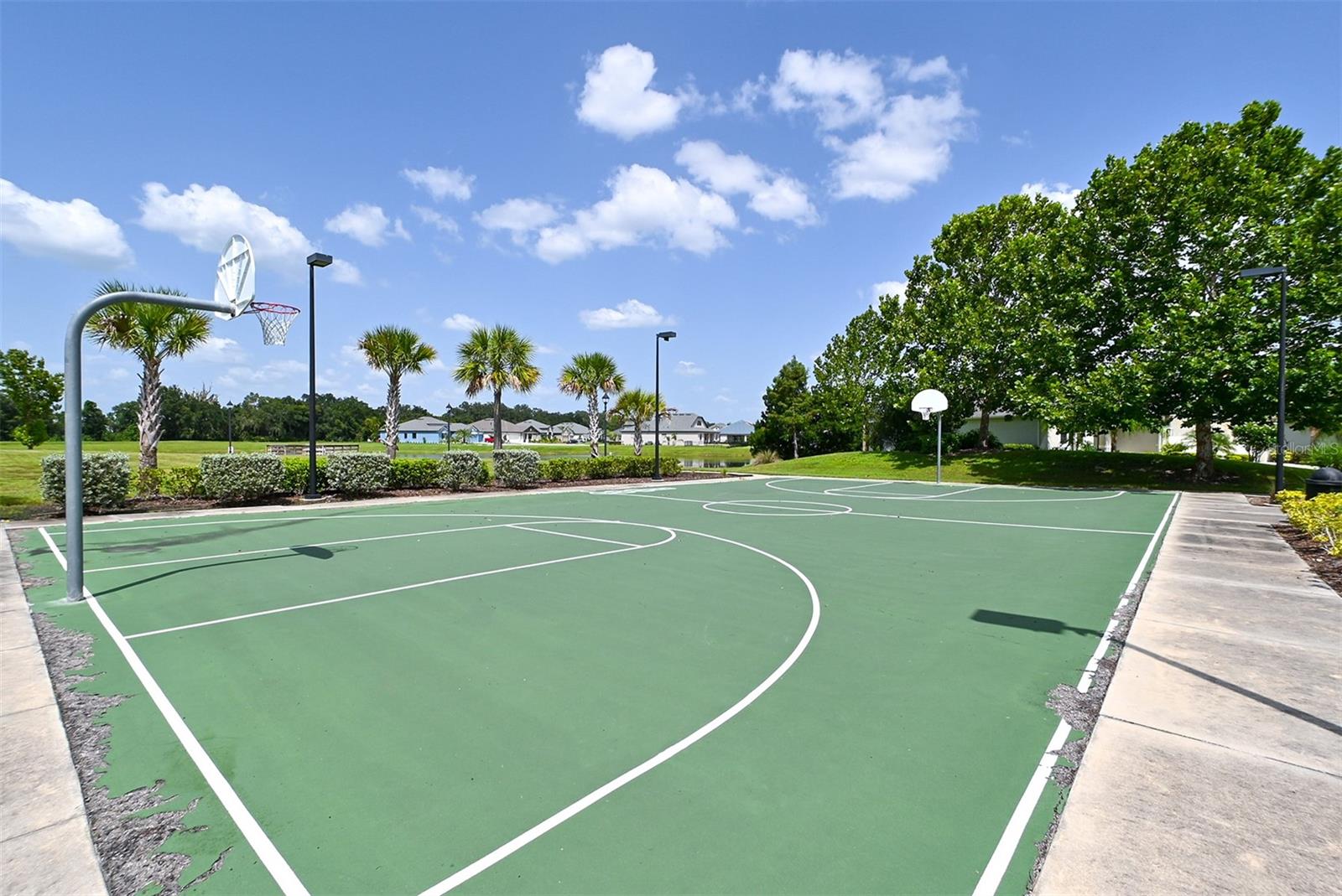 Image 41 of 43 For 12607 Wheatgrass Court