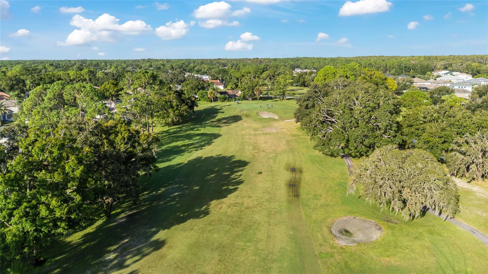 Image 56 of 67 For 12605 Eagles Entry Drive