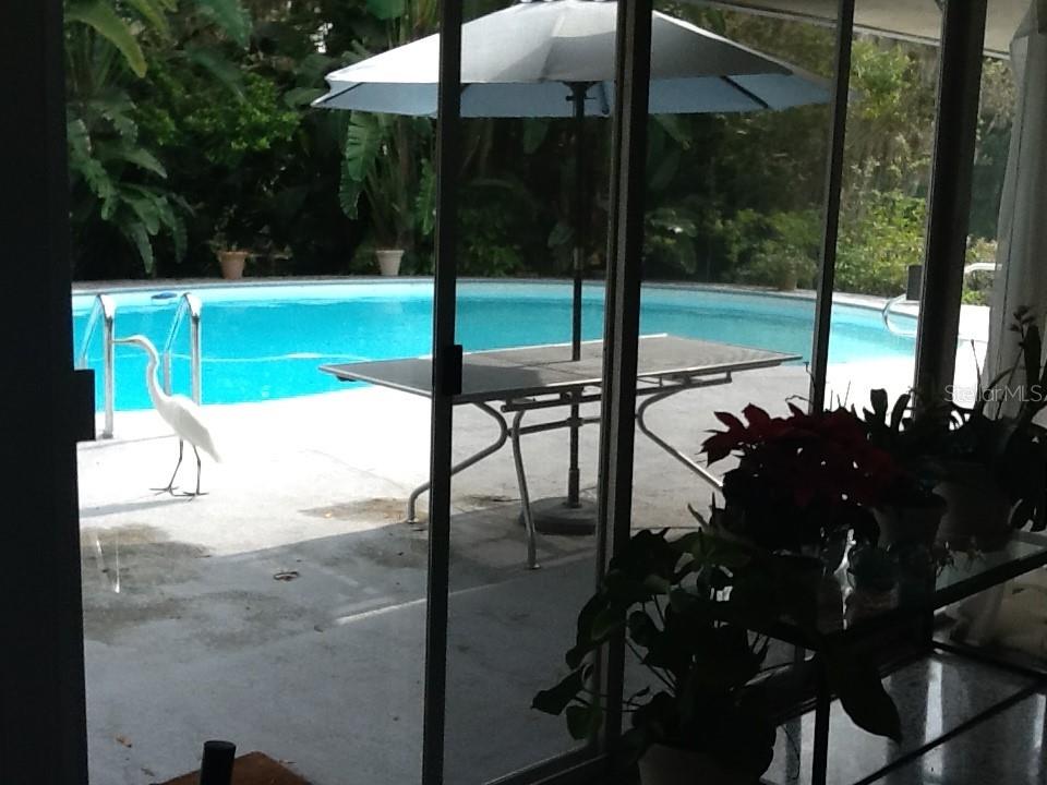 Image 33 of 57 For 3300 Mineola Drive