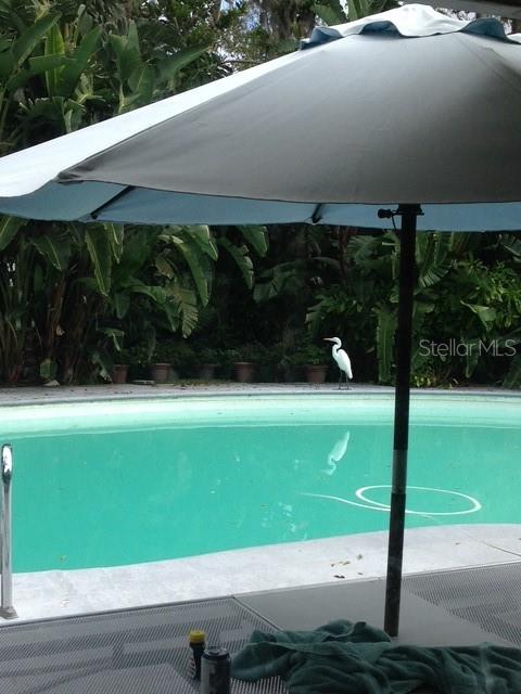 Image 34 of 57 For 3300 Mineola Drive