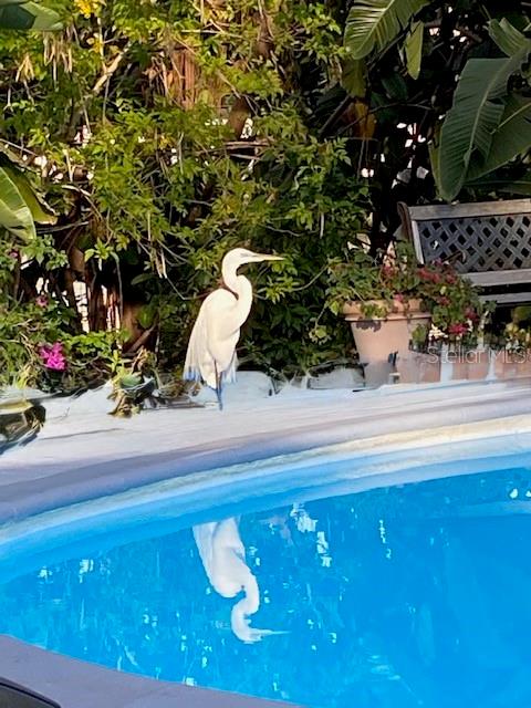 Image 35 of 57 For 3300 Mineola Drive