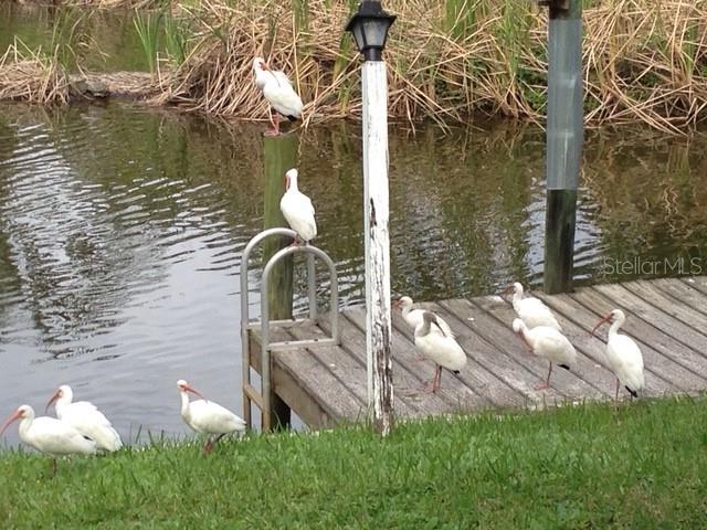 Image 38 of 57 For 3300 Mineola Drive