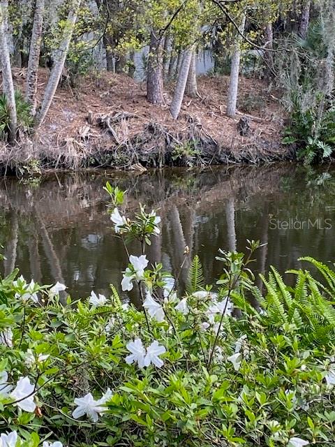 Image 40 of 57 For 3300 Mineola Drive