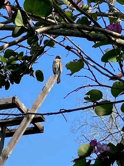 Image 41 of 57 For 3300 Mineola Drive