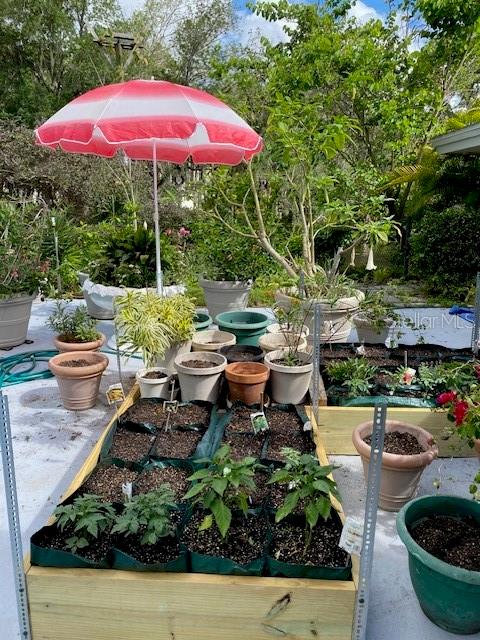 Image 42 of 57 For 3300 Mineola Drive