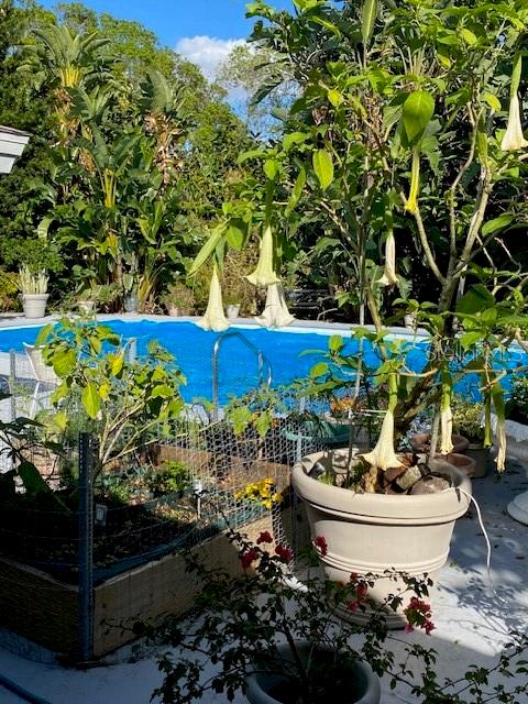 Image 43 of 57 For 3300 Mineola Drive