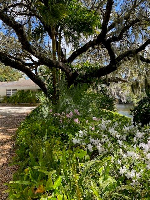 Image 46 of 57 For 3300 Mineola Drive