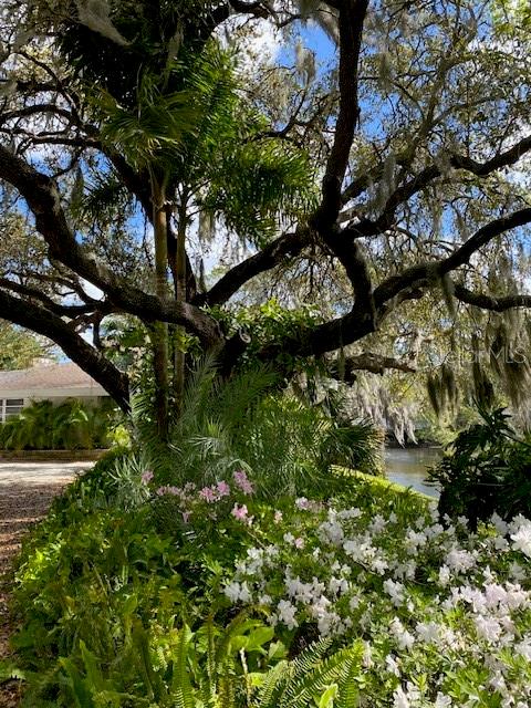 Image 47 of 57 For 3300 Mineola Drive