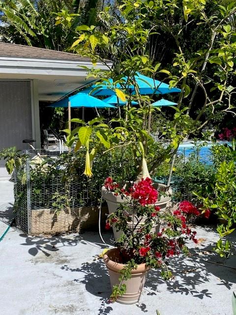 Image 48 of 57 For 3300 Mineola Drive