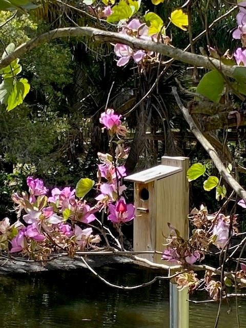 Image 49 of 57 For 3300 Mineola Drive