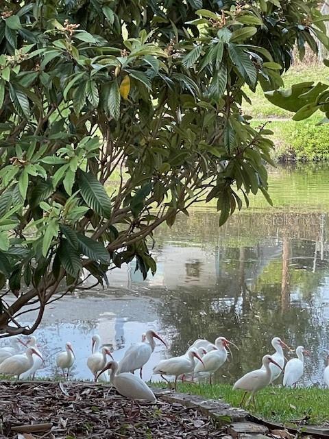 Image 52 of 57 For 3300 Mineola Drive