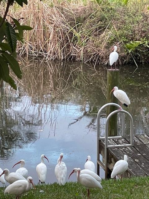 Image 53 of 57 For 3300 Mineola Drive