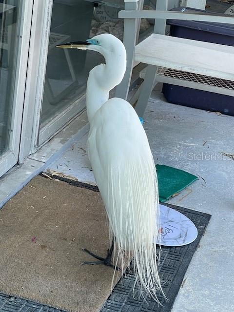 Image 54 of 57 For 3300 Mineola Drive