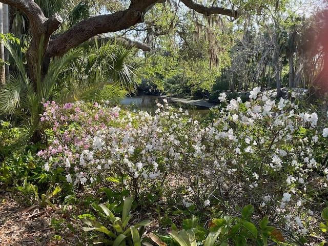 Image 57 of 57 For 3300 Mineola Drive