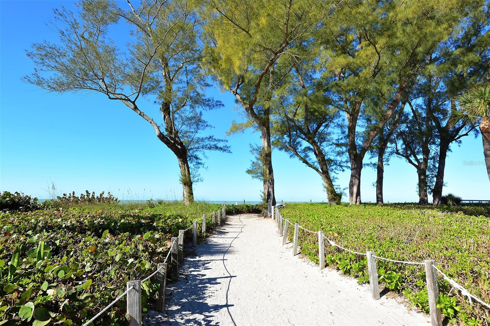 Image 75 of 75 For 5055 Gulf Of Mexico Drive 331