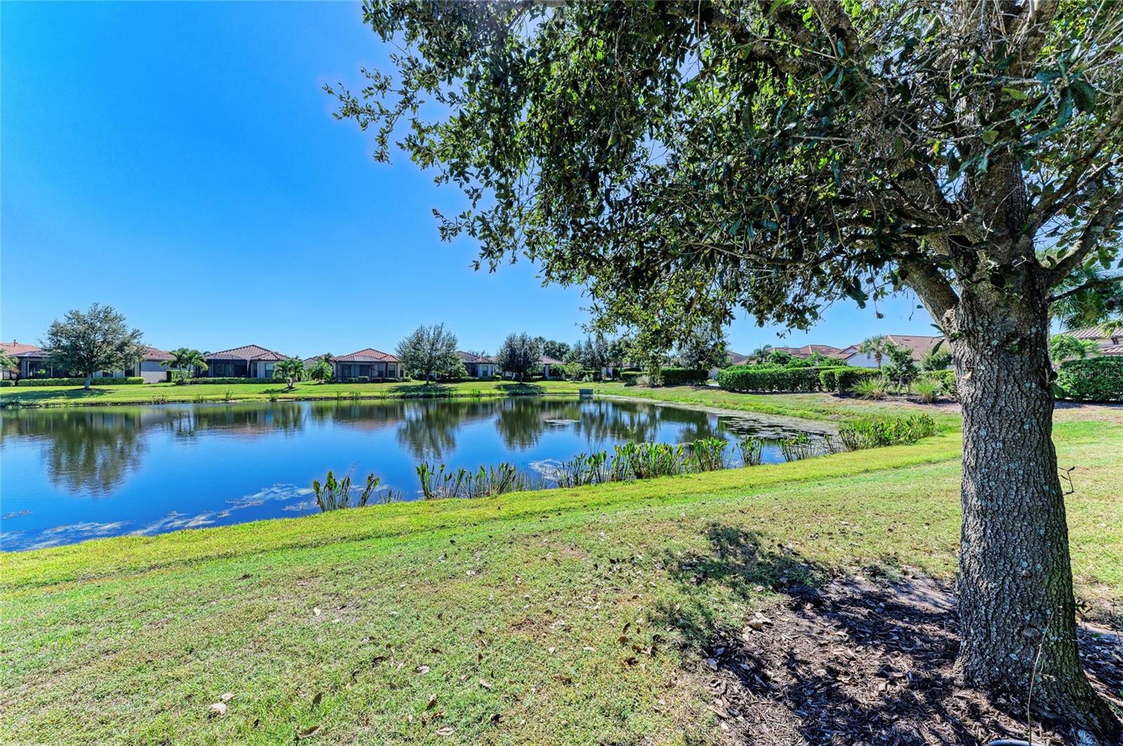 Image 48 of 100 For 13108 Treviso Drive