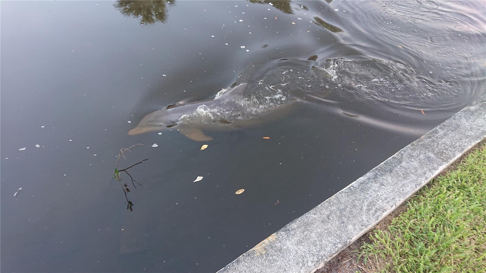 Image 2 of 22 For 4512 26th Avenue S