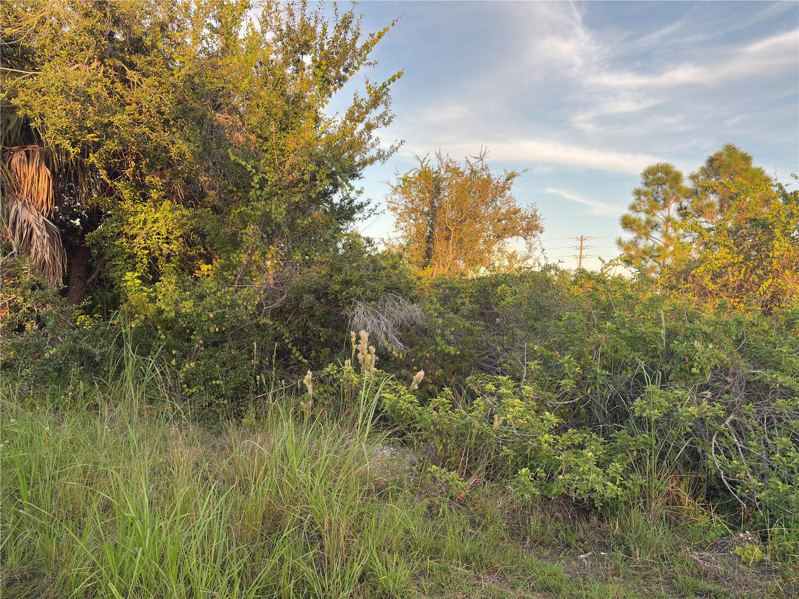 Details for 14251 Ingraham Boulevard, PORT CHARLOTTE, FL 33981