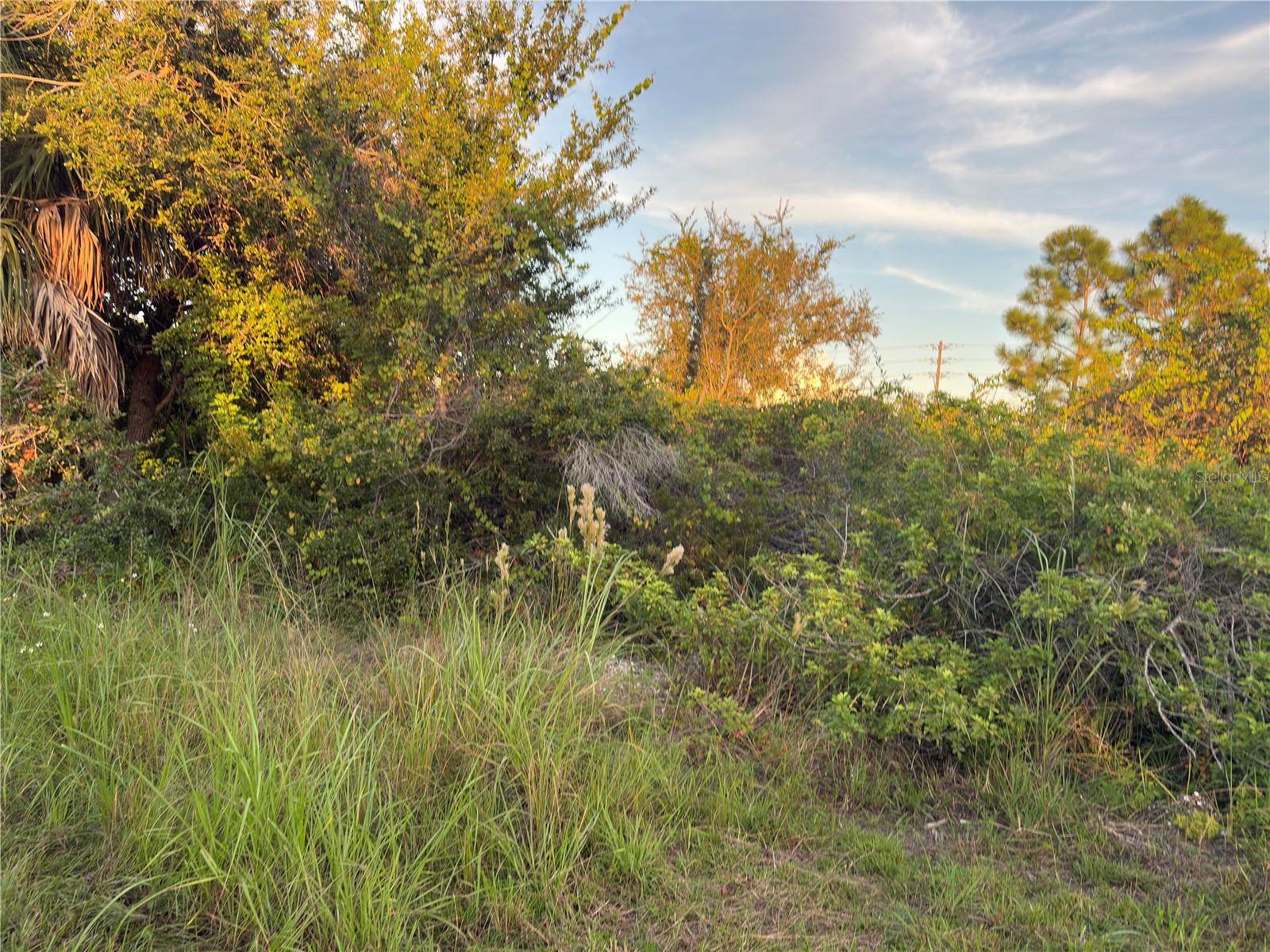Image 2 of 5 For 14251 Ingraham Boulevard