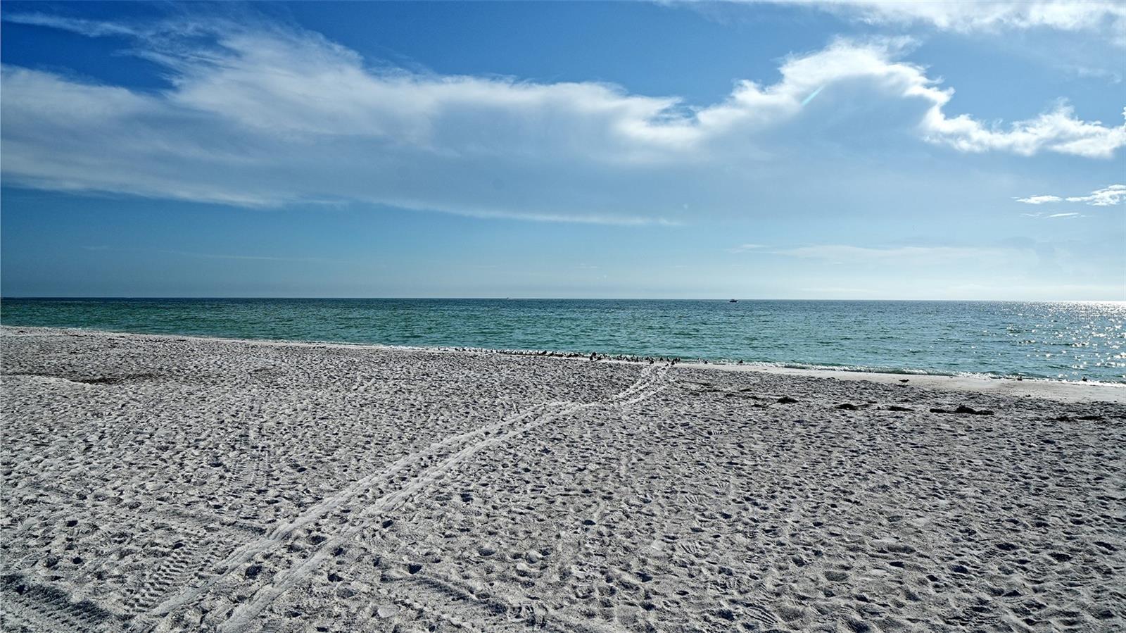 Image 37 of 51 For 6473 Gulf Of Mexico Drive