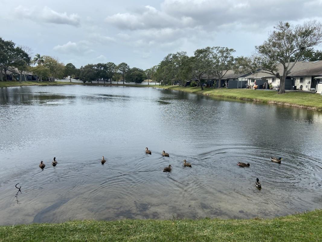 Image 3 of 11 For 3888 El Camino Court