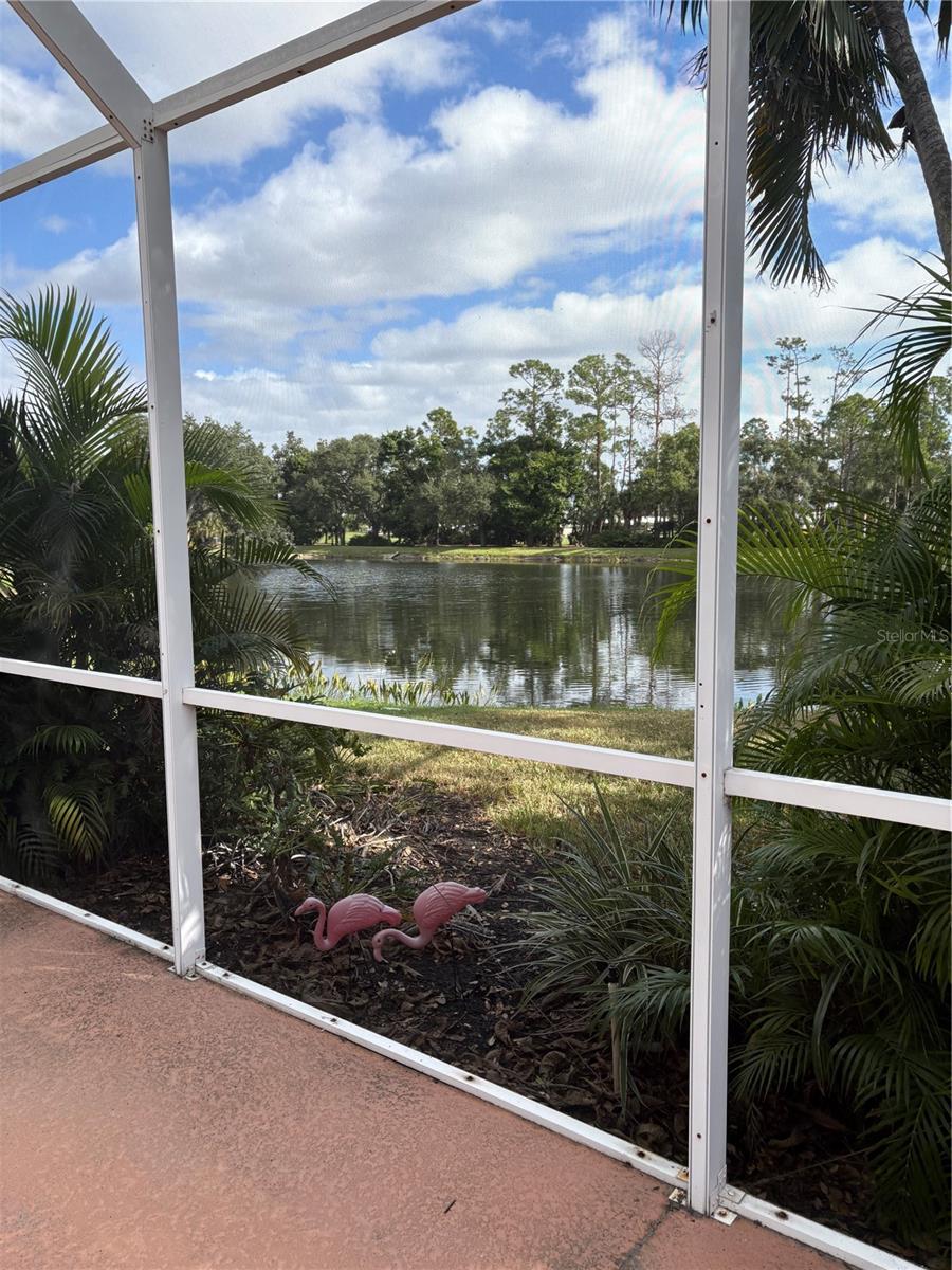 Image 25 of 46 For 8575 54th Avenue Circle, E. Circle E