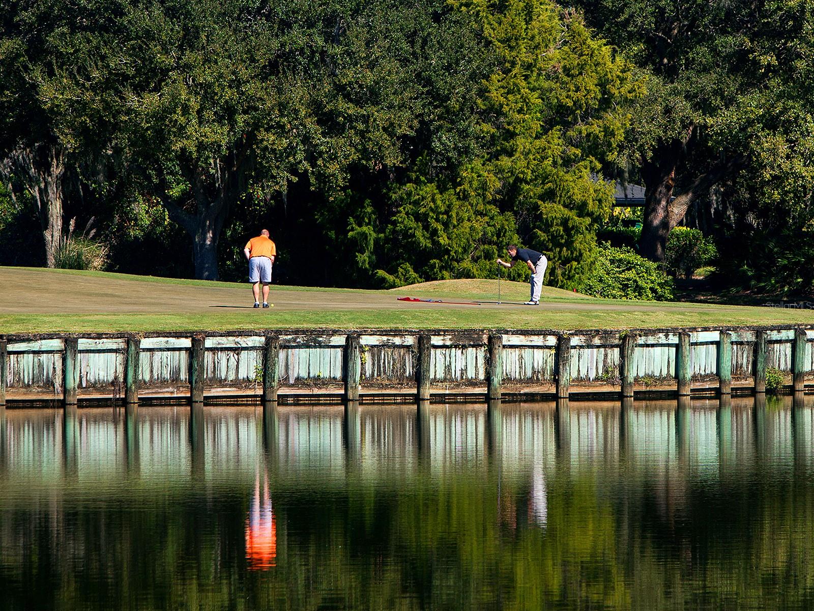 Image 70 of 71 For 10528 Cheval Place